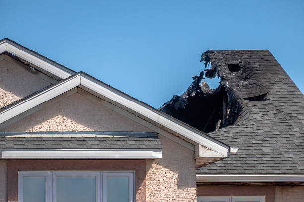 Top rated local Odor Removal specialists in Isanti, MN